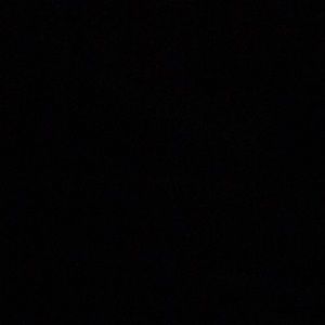 Meet your Posher, Cheyenne